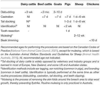 Early Life Painful Procedures: Long-Term Consequences and Implications for Farm Animal Welfare